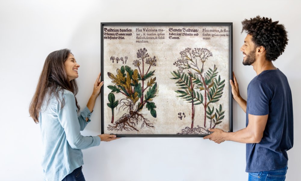 Pietro Andrea Mattioli