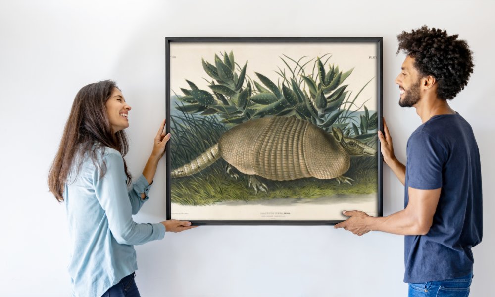 John Woodhouse after Audubon