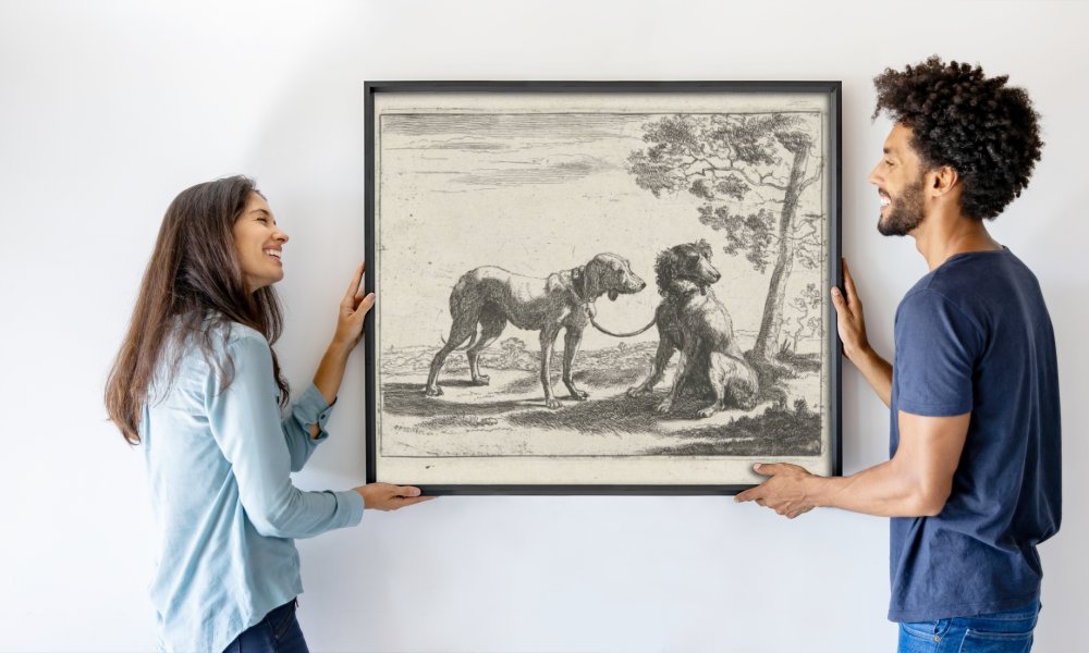 Pauwels van Hillegaert