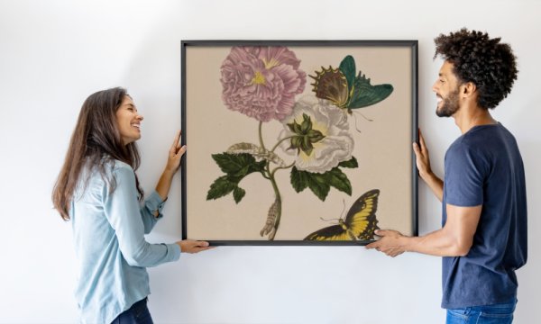 Maria Sibylla Graff (after) Merian