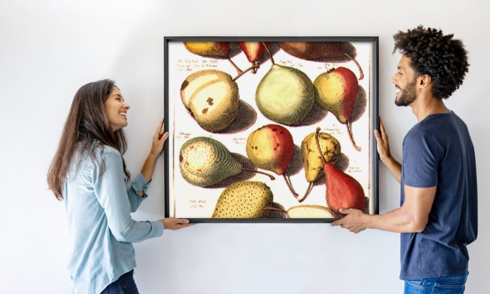 Johannes Hendrik (after) Knoop