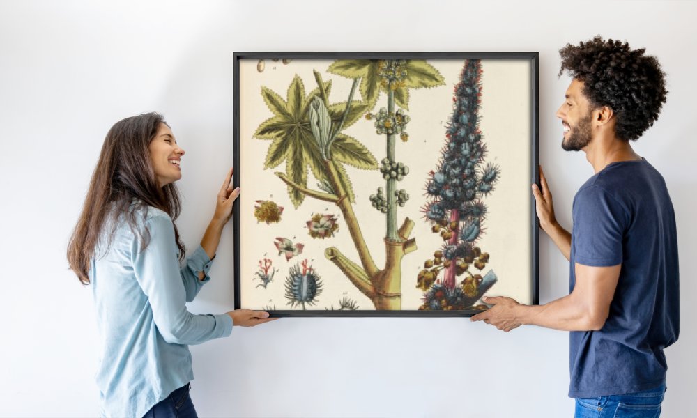 Elizabeth Blachrie Blackwell