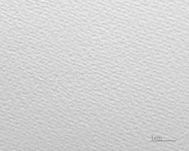 水彩紙板丟勒 (哈內姆勒·阿爾布雷希特·丟勒)  1