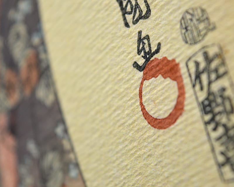 水彩紙板丟勒 (哈內姆勒·阿爾布雷希特·丟勒)  19