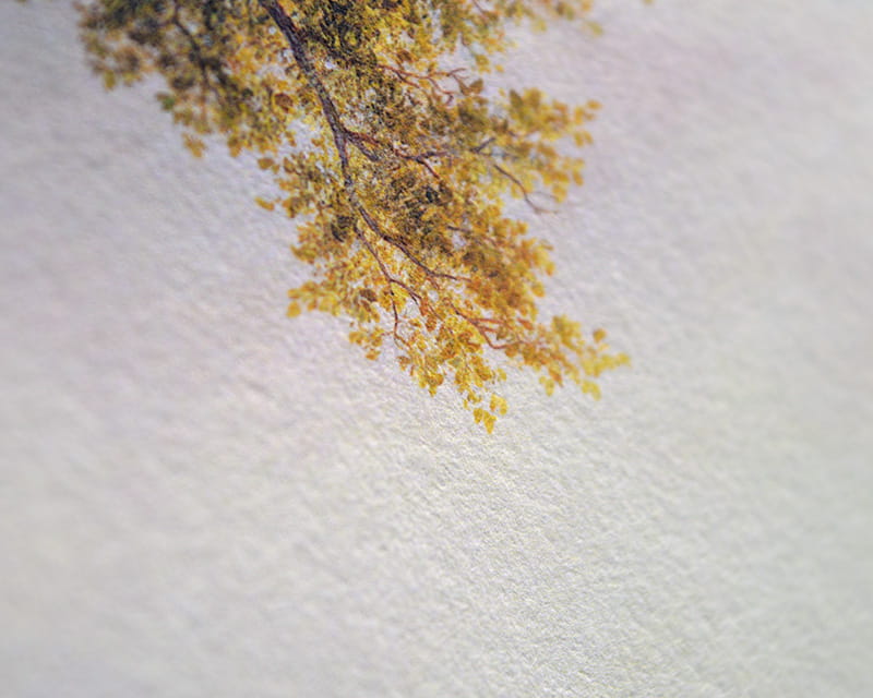 Kozo 白, 110g (桑椹纸, 白色)  14