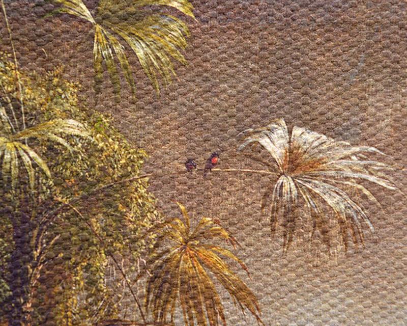 帆布萨尔瓦多（哑光） (帆布弗洛倫茨)  16