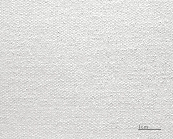 帆布拉斐尔（哑光）