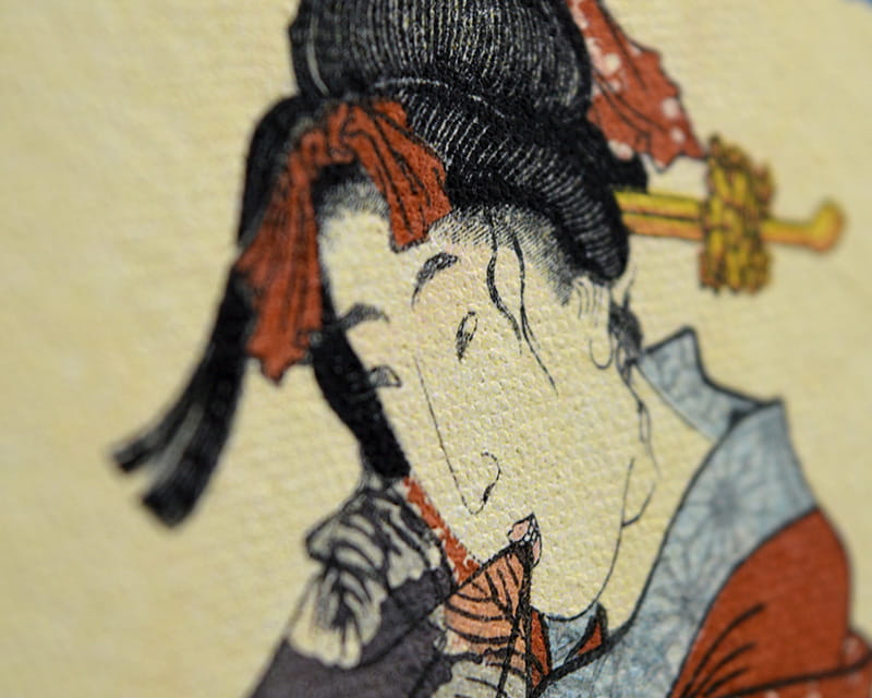 帆布拉斐尔（哑光） (Epson Premium Canvas Matte)  5