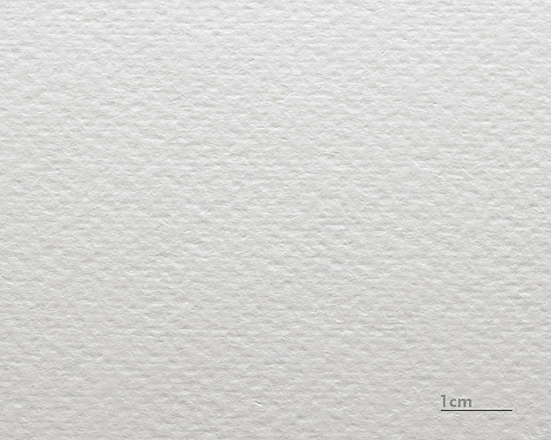 水彩纸板雷诺阿 (博物館水彩310)  1