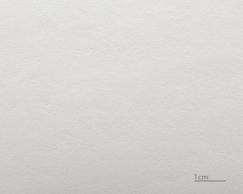 照片磨砂 (博物館自然光滑)  1