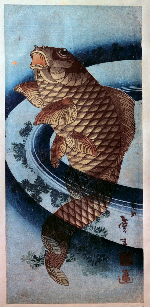 日本艺术：鲤鱼。 葛饰北斋(1760-1849) 印刷19 世纪巴黎，吉美博物馆