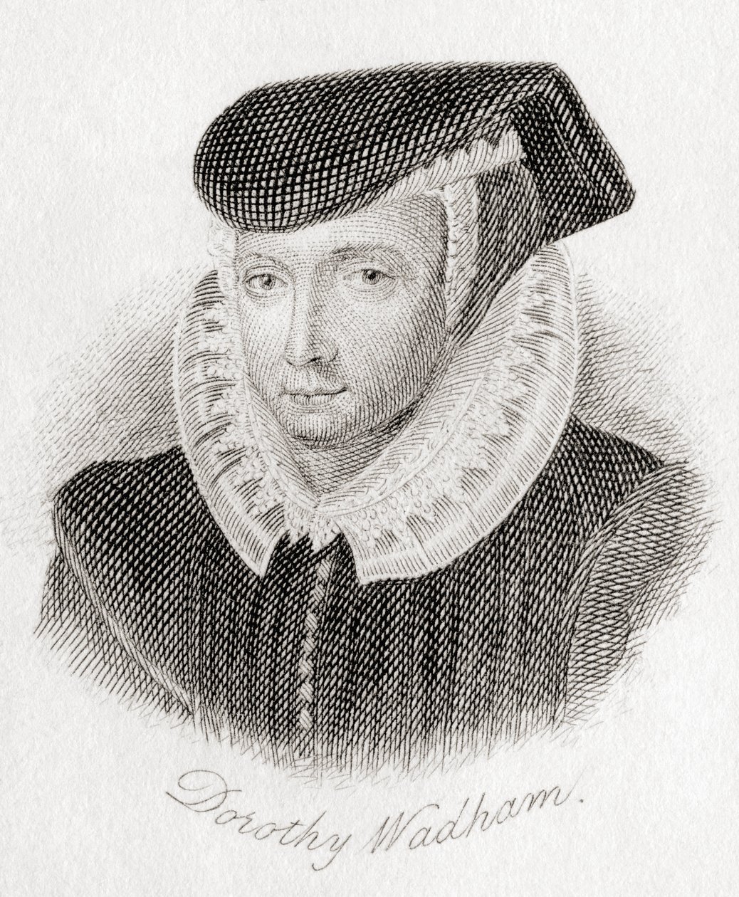 Dorothy Wadham，nee Petre，15341535？ 1618。 作者 不明