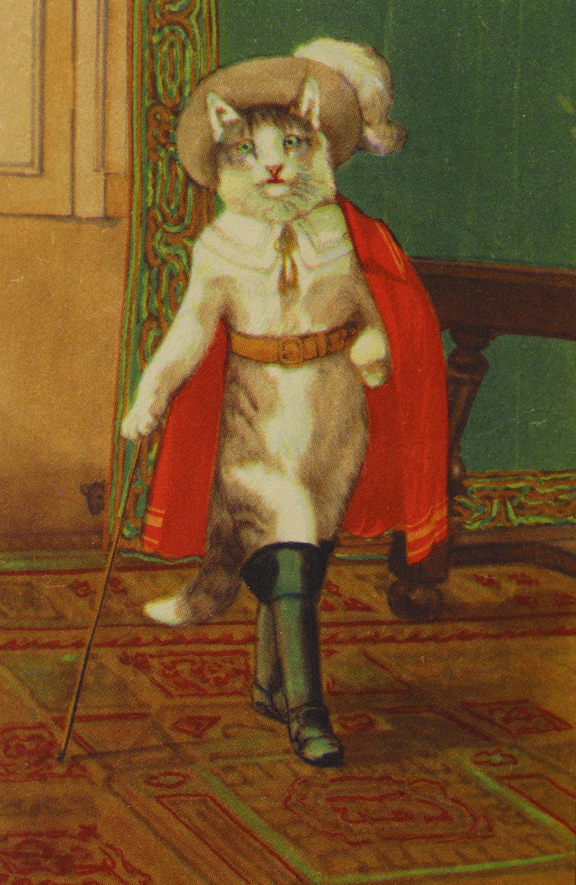 插图由Perrault开发CatConte 作者 不明
