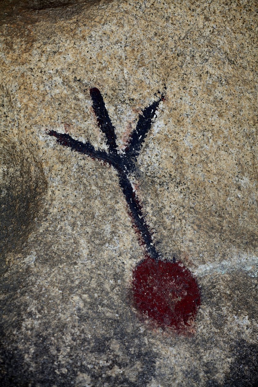 北美的印度岩画。 50年代的绘画为西方拍摄增添了色彩。公园全国约书亚树，加利福尼亚，美国。北美印第安文化 作者 不明