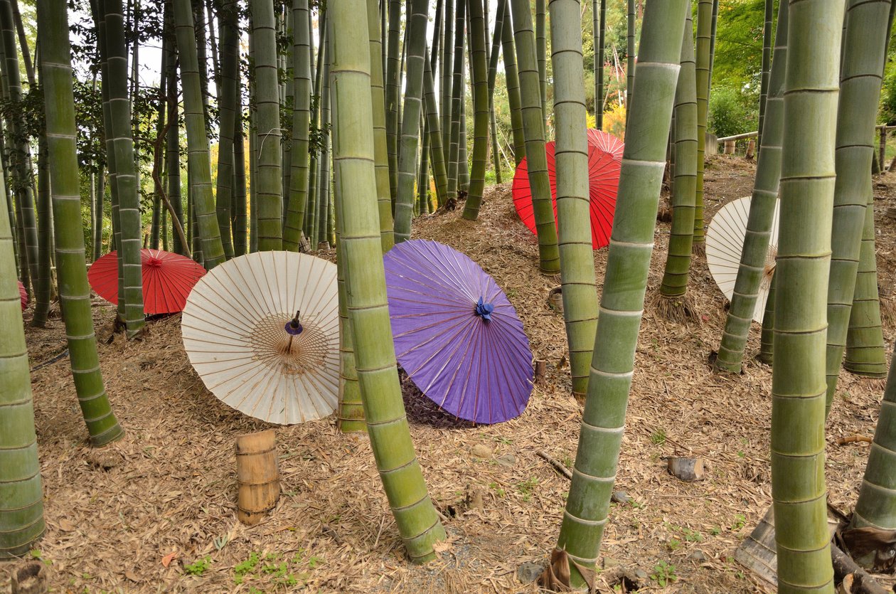 Kodai-ji或Kodaijusho-Zenji-Kyoto（日本）-Edo时代 - 佛教寺庙 - 步行花园与池塘和karesansui（干燥景观花园） - 由Kita no Mandokoro（丰臣秀吉的妻子）于1605年创立 作者 不明
