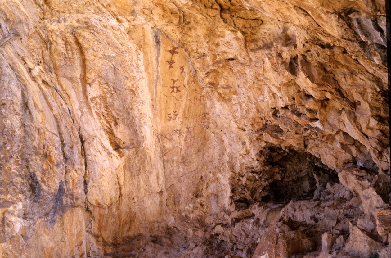 Los Sigreros洞穴，靠近Velez Blanco，安达卢西亚，公元前4000年，洞穴绘画的鸟类 作者 不明