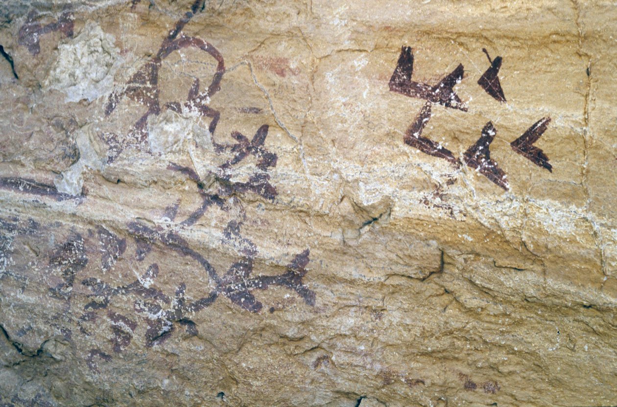 Los Sigreros洞穴，靠近Velez Blanco，安达卢西亚，公元前4000年，洞穴绘画的鸟类 作者 不明
