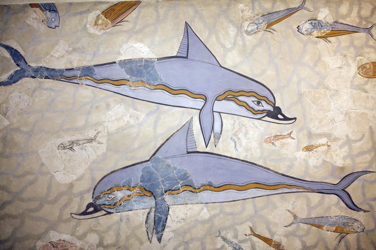 米诺斯艺术。 “Dolphin Fresco”。壁画点缀在女王megaron上方的一个大厅的墙壁或地板上。 Fossco从Knossos（1600  -  1450 B）的原始作品片段重建而成 作者 不明