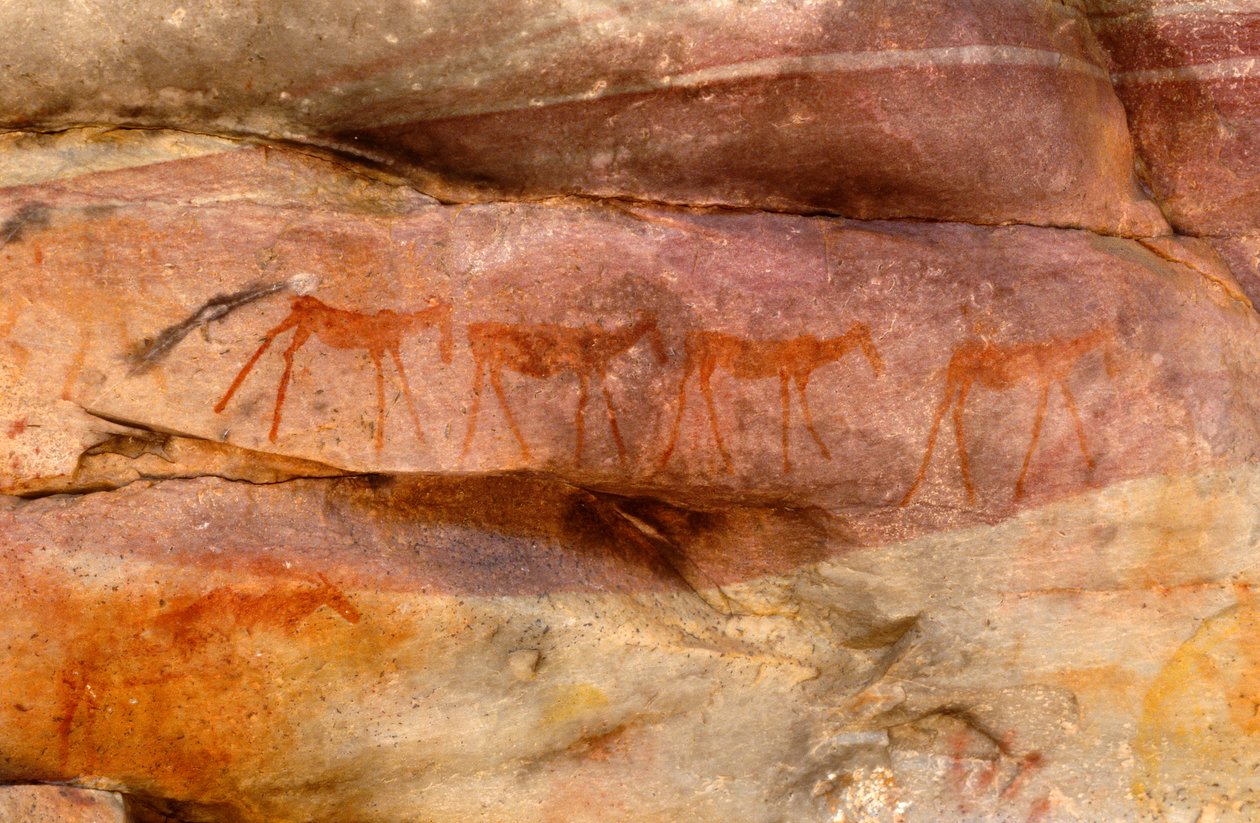 San（Bushmen）岩画，Cedarburg，西开普省 作者 不明