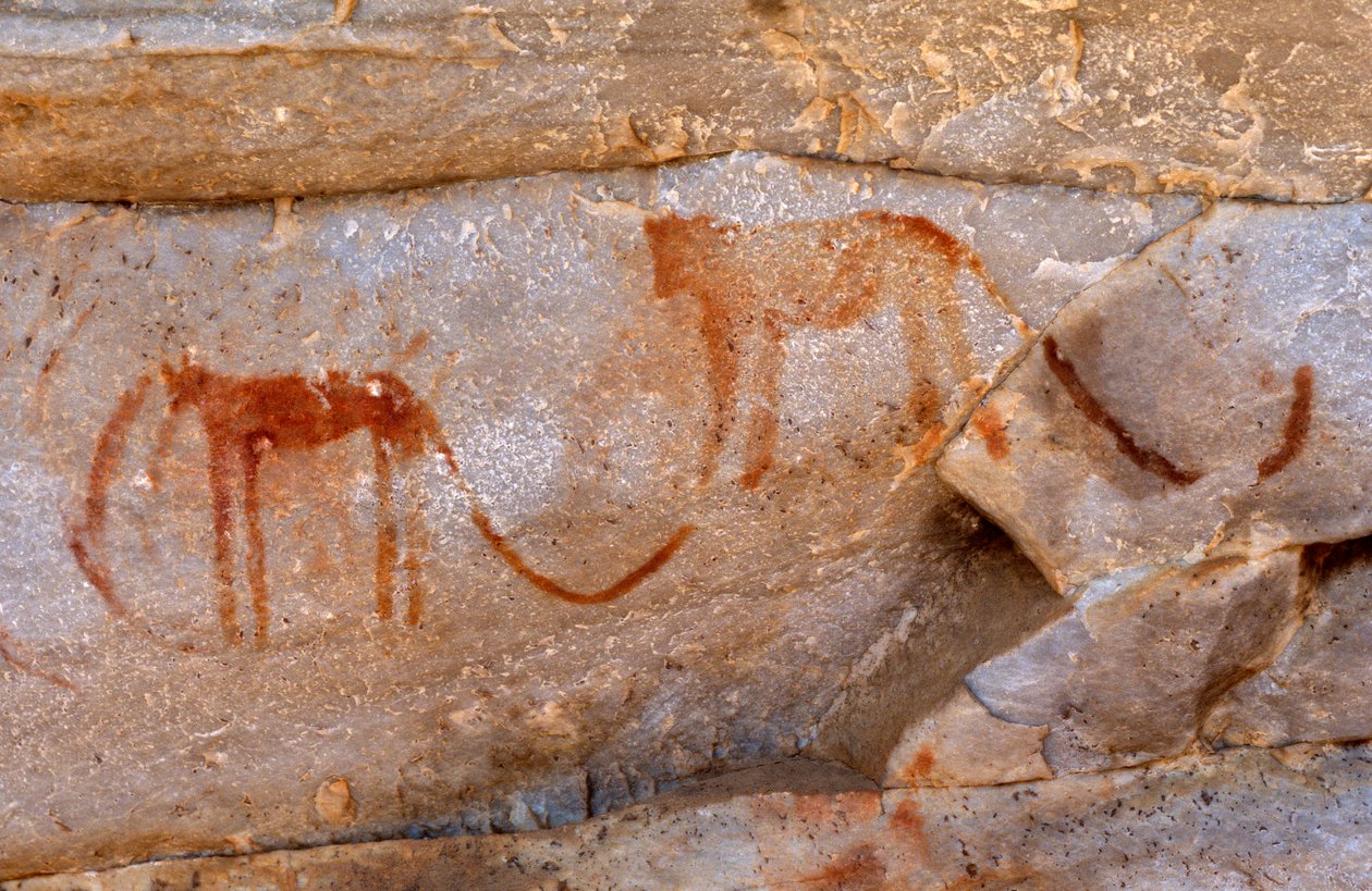 San（Bushmen）岩画，Cedarburg，西开普省 作者 不明