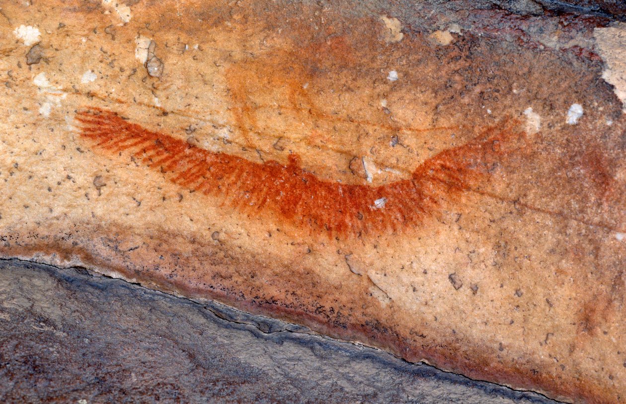 San（Bushmen）岩画，Cedarburg，西开普省 作者 不明