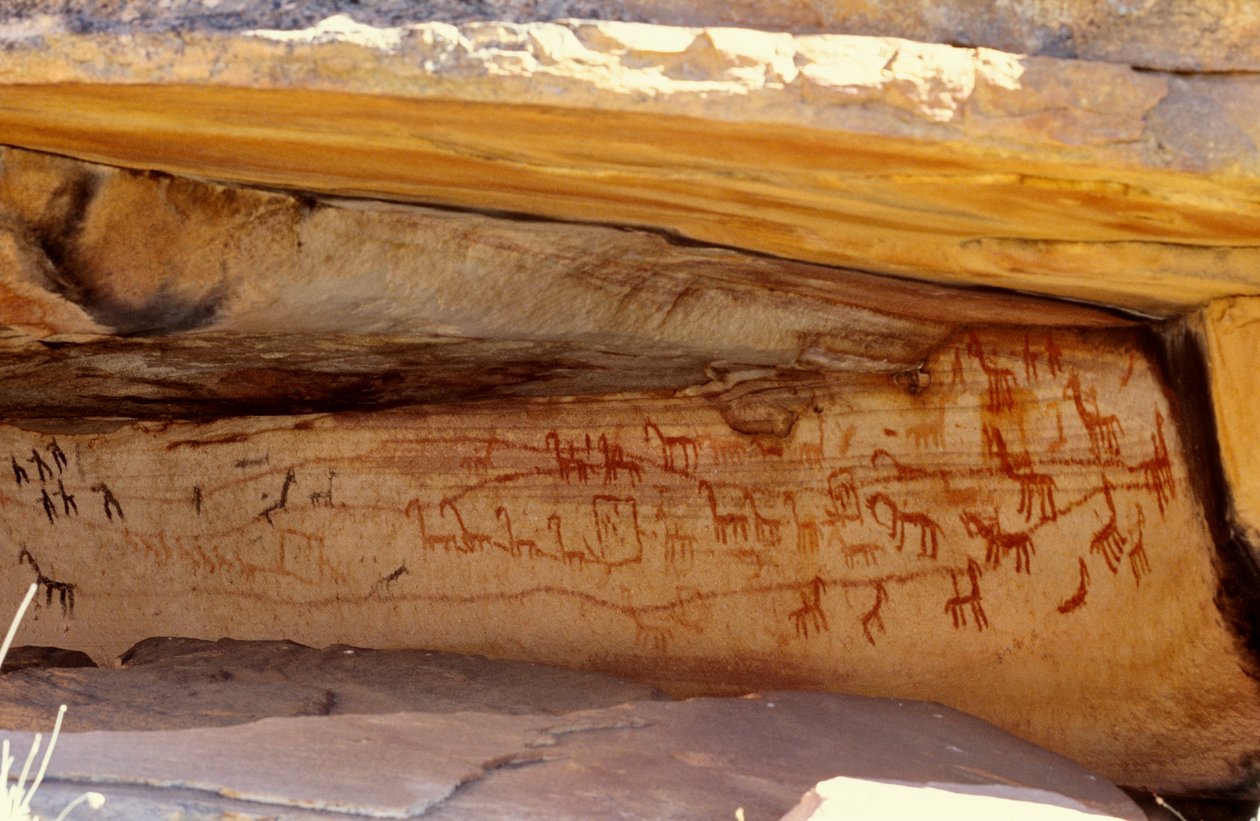 San（Bushmen）岩画，Cedarburg，西开普省 作者 不明