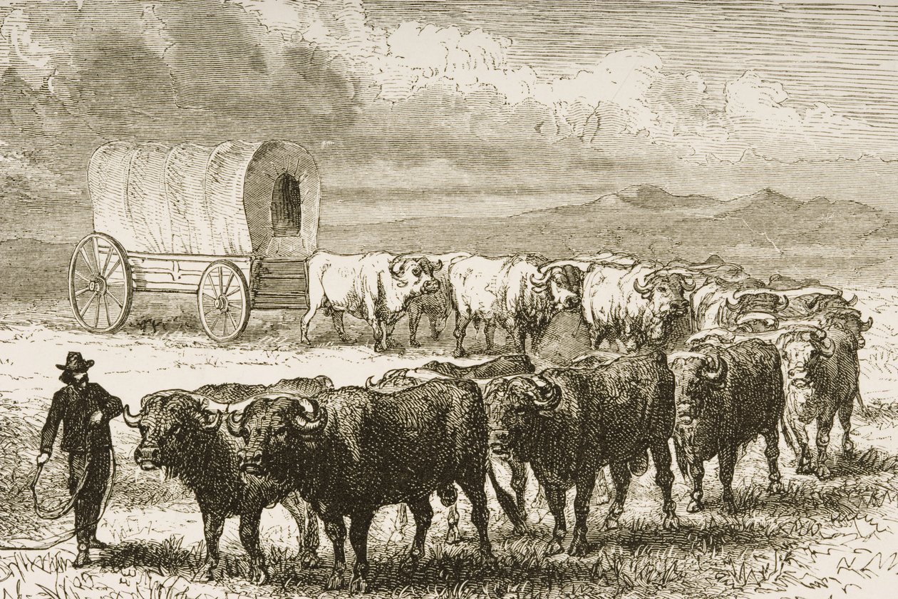 一辆布洛克货车穿越18世纪的圣路易斯和丹佛之间的大平原，1870年由The Religious Tract Society出版的“美国图片”（雕刻） 作者 英语学校