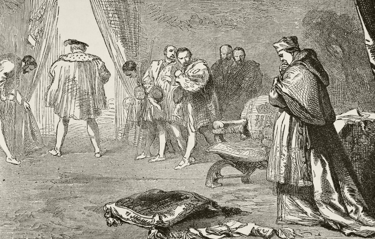 英格兰国王亨利八世于1529年解雇红衣主教沃尔西，由威廉希克曼史密斯奥布里（1858-1916）出版的“英国国内和国内历史”出版，伦敦，1890年 作者 英语学校