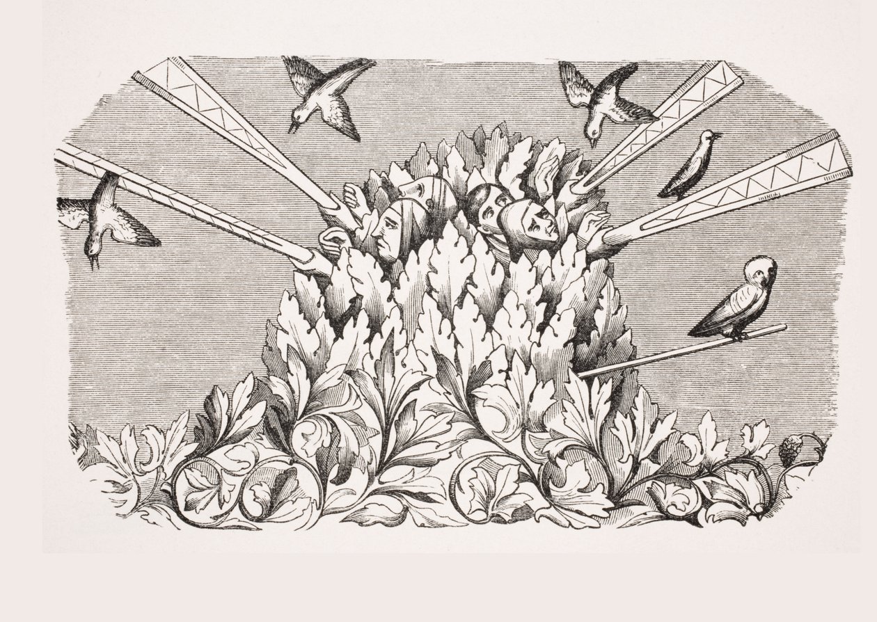 鸟类捕捉机器般的可伸展手臂，复制了14世纪手稿&39;Livre de Roy du Modus&39;，由Henri de Ferrieres，来自波城的&39;Le Moyen Age et La Renaissance&39; 作者 法语学校