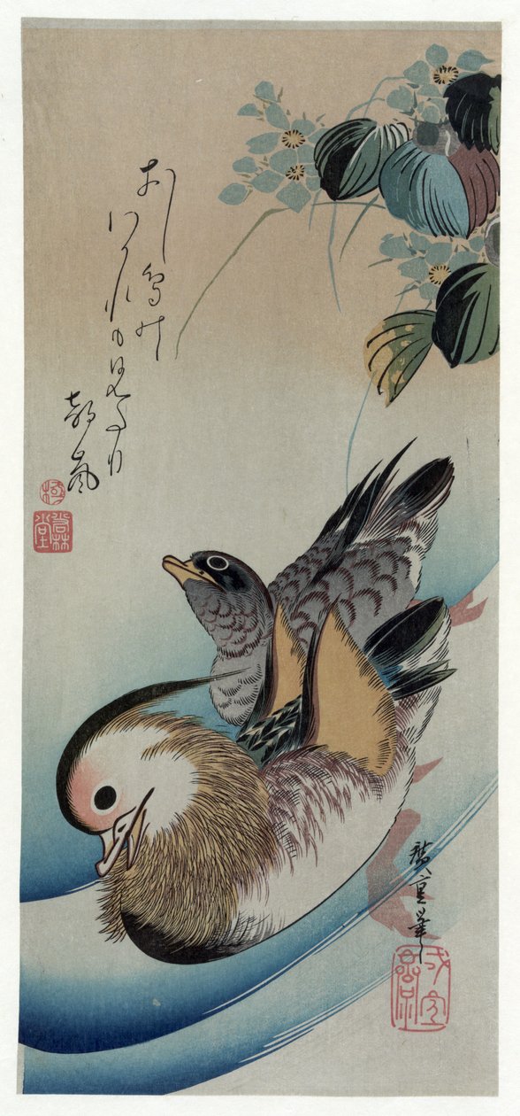Oshidori（鸳鸯） 作者 歌川宏重