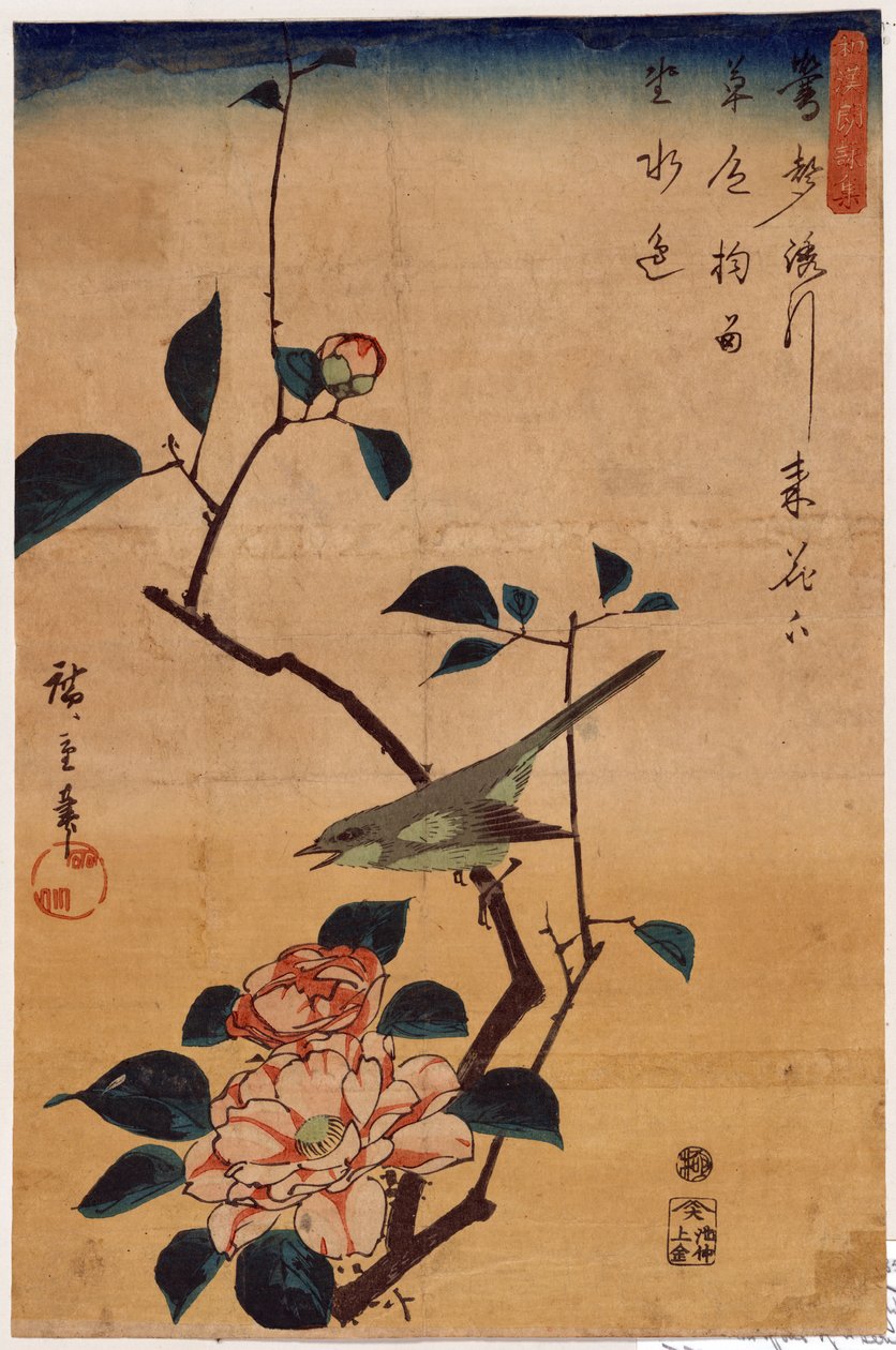 Tsubaki ni Uguisu（山茶花和布什莺） 作者 歌川宏重