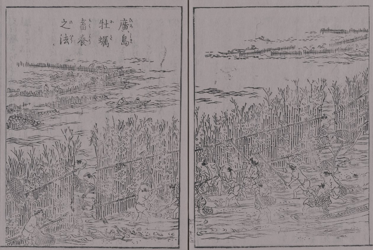 日本三凯制作展第3卷广岛牡蛎广岛牡蛎农民的方法 作者 Kang关月Kangetsu