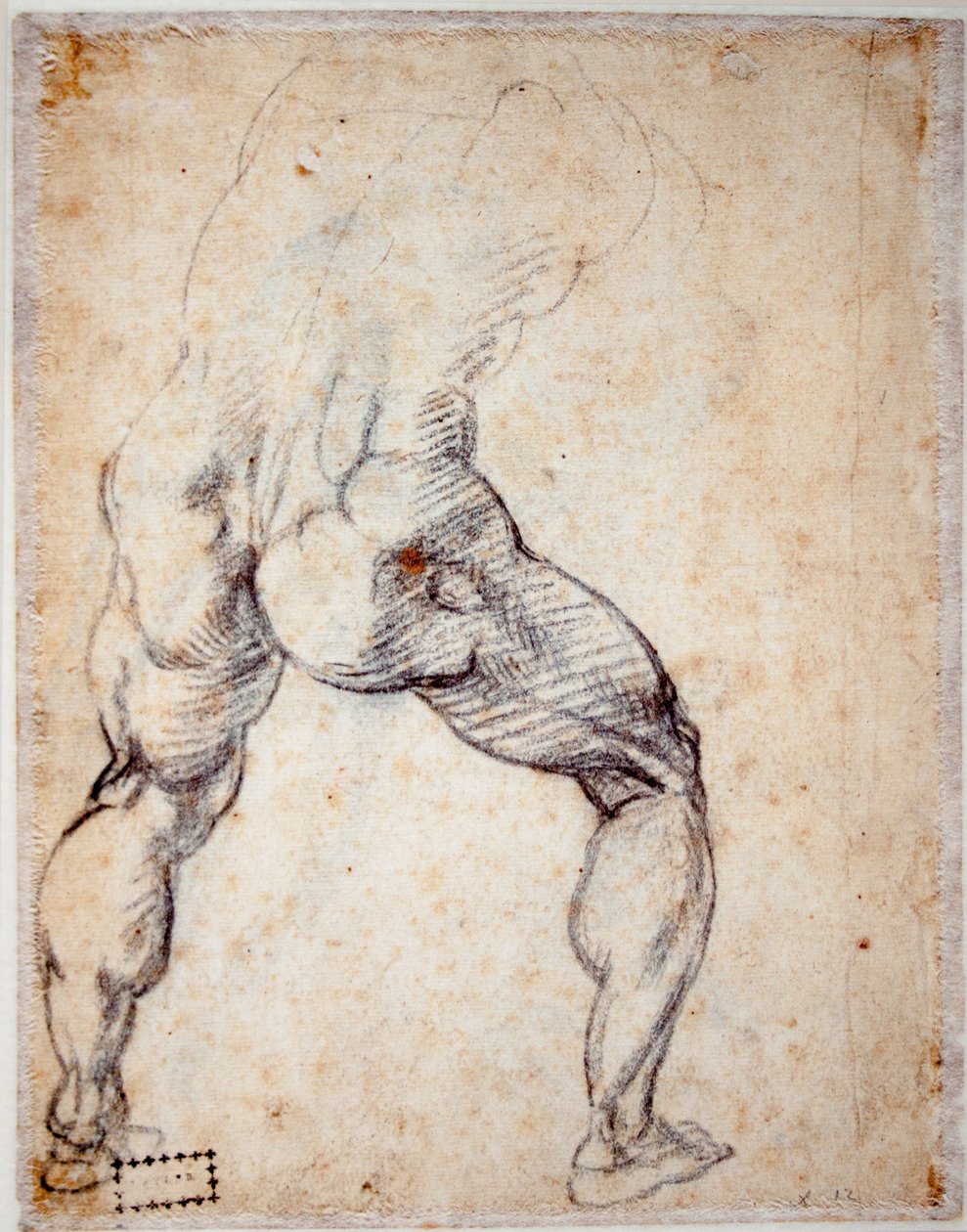 后面的男人 作者 米开朗基罗（Michelangelo Buonarroti）