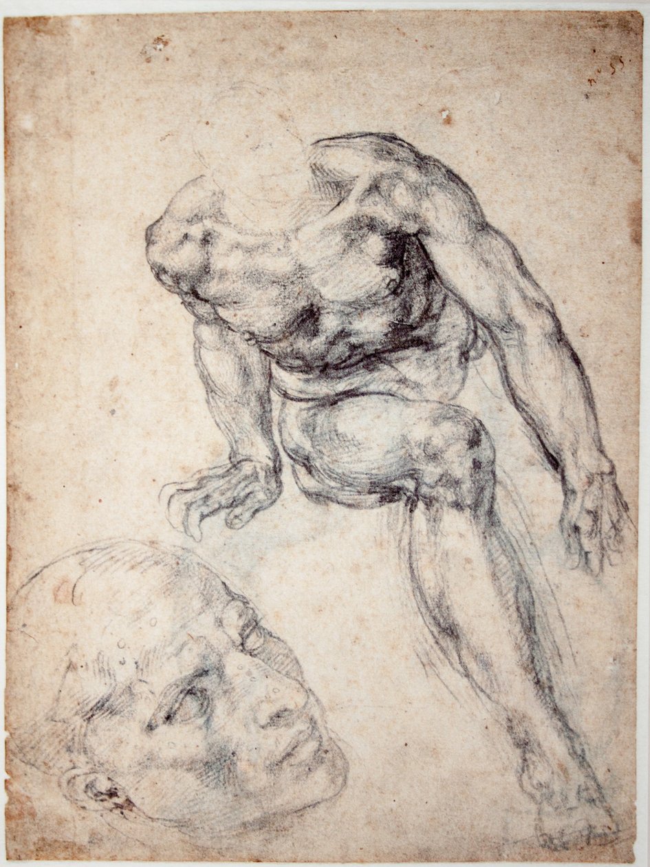 研究一个男性裸体，单独研究他的头 作者 米开朗基罗（Michelangelo Buonarroti）
