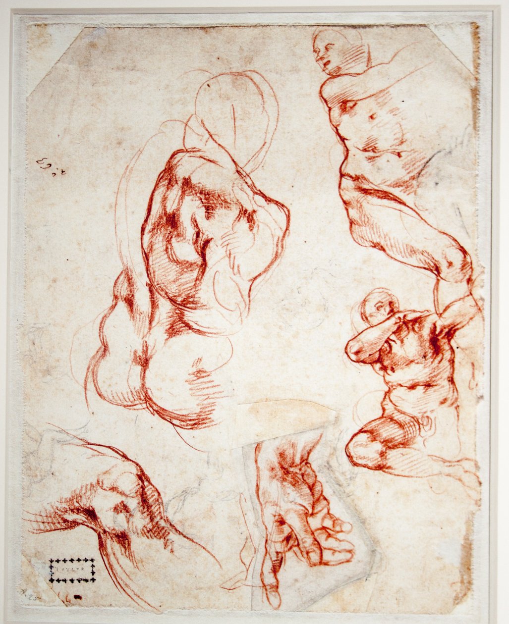 研究上帝之手（创造亚当） 作者 米开朗基罗（Michelangelo Buonarroti）