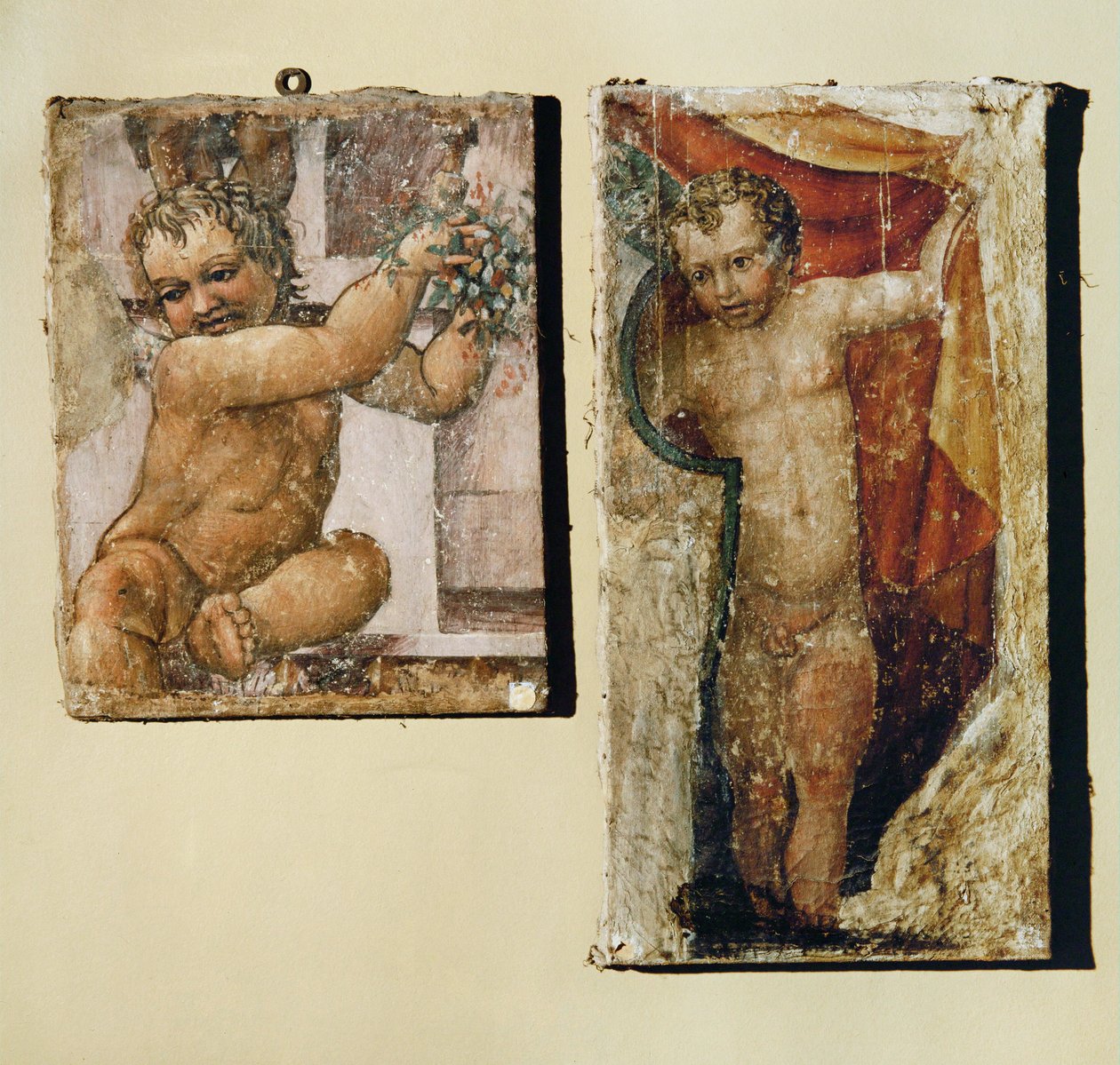  作者 (1509 66) 丹尼尔·达·沃尔泰拉