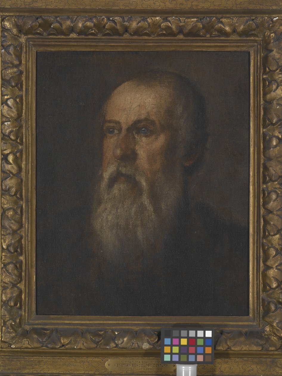 大胡子肖像》（布面油画，裱在木板上） 作者 (1528-88) 委罗内塞