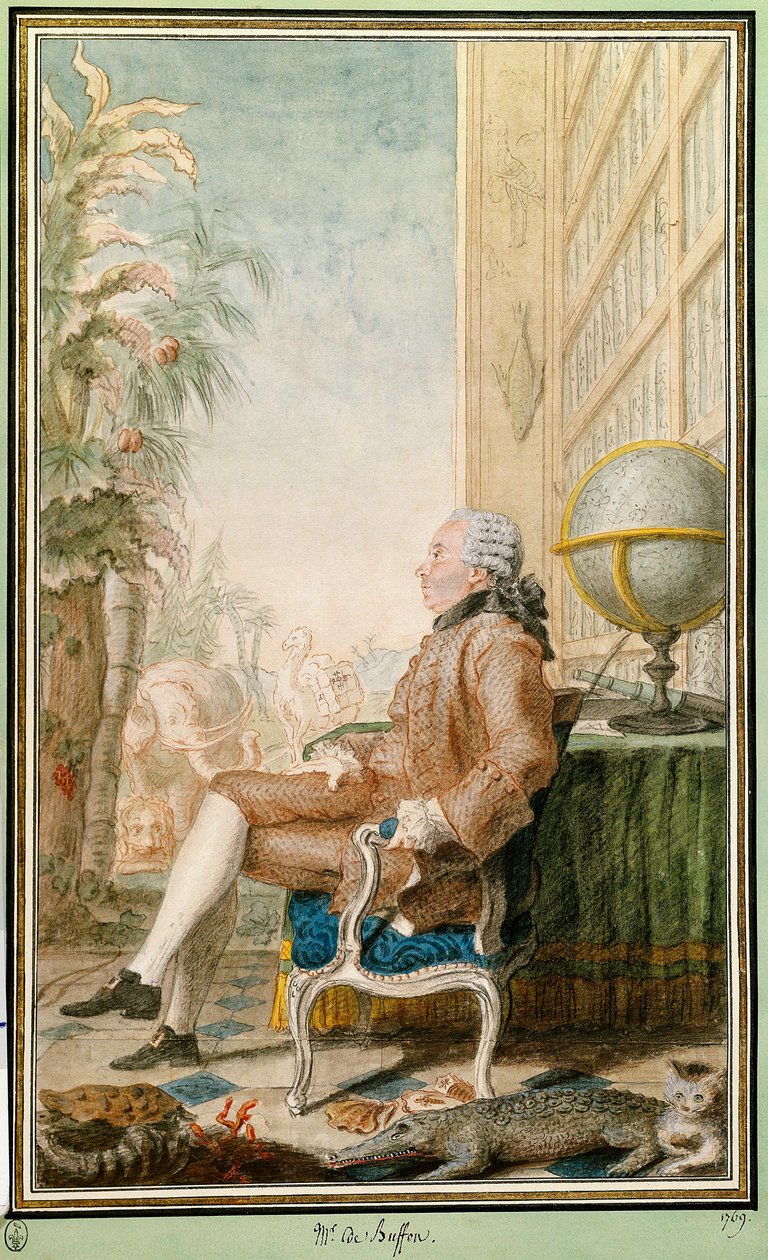 乔治-路易-勒克莱尔的肖像，布丰伯爵（1707-1788），自然学家，国王花园的管理员。路易斯-卡洛吉-卡蒙特尔（1717-1806）的水彩画。尚蒂伊。康德博物馆 作者 卡蒙泰尔