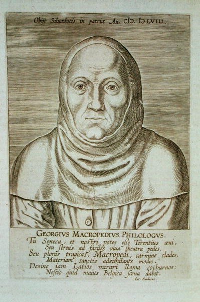 Georgius Macropedius Philologus (c.1486-1588)（木版画）。 作者 （之后）荷兰学校