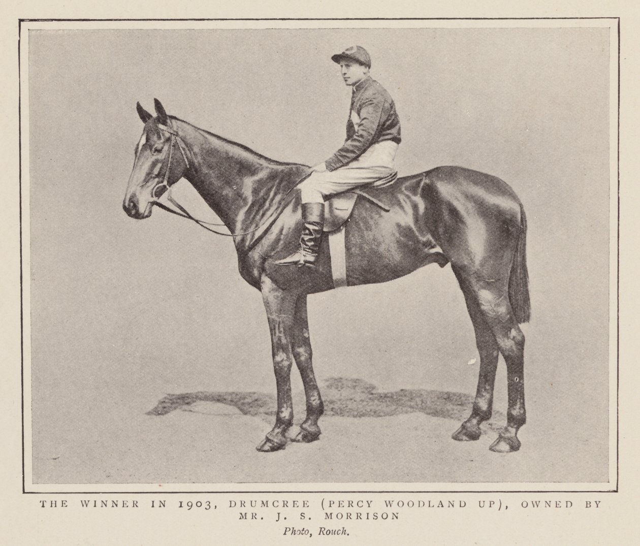 1903 年格兰国家赛冠军 Drumcree（黑白照片） 作者 （之后）英国摄影师