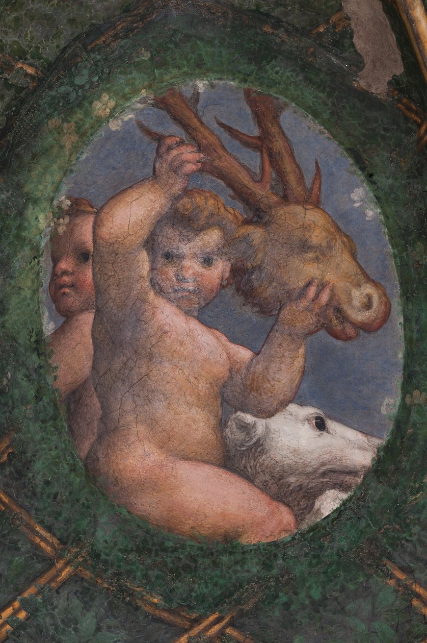 普提、狗和鹿，细节 作者 (c.1489-1534) 科雷焦