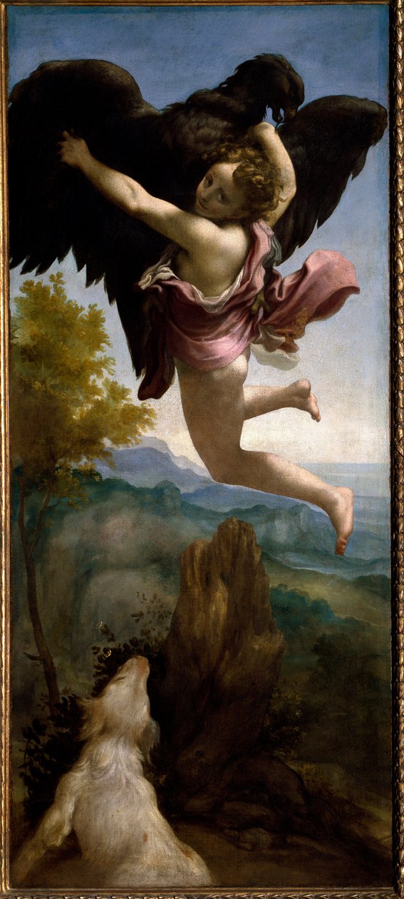诱拐加尼美德》（绘画，约1531年）。 作者 (c.1489-1534) 科雷焦