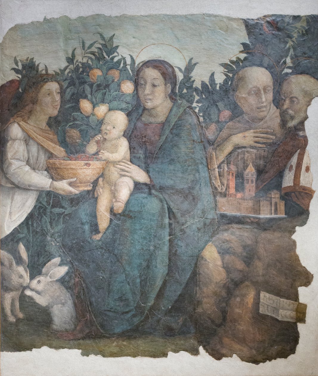 与圣弗朗西斯和基里努斯在一起的圣母子，又称 "利莫尼圣母"（Madonna dei limoni）。 作者 (c.1489-1534) 科雷焦
