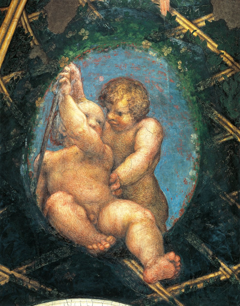 卵形小天使，圣保罗密室或修道院长室的装饰细节 作者 (c.1489-1534) 科雷焦