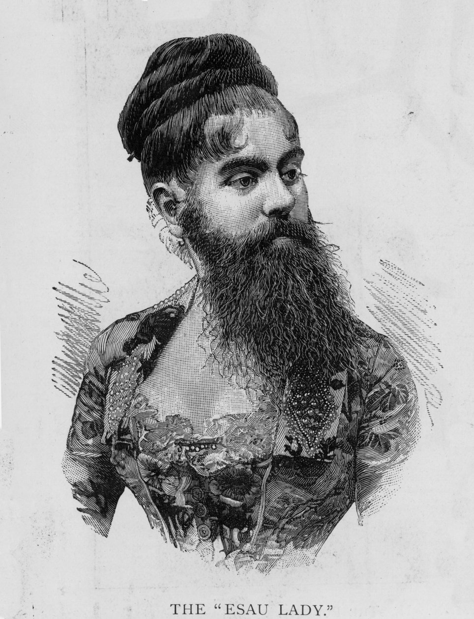 安妮琼斯，1893年被称为以扫女士 作者 不明