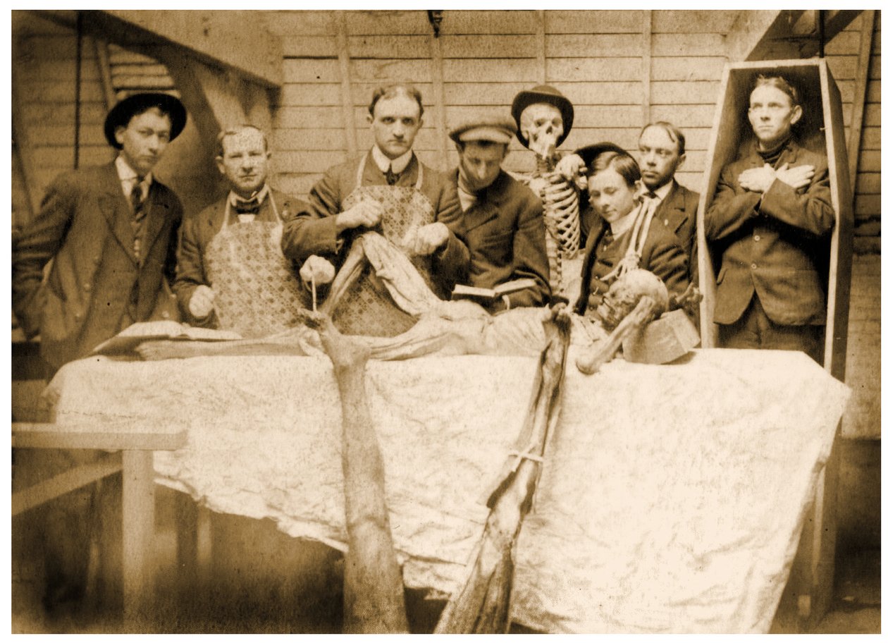 维多利亚时代的医学生与尸体，1890年 作者 不明