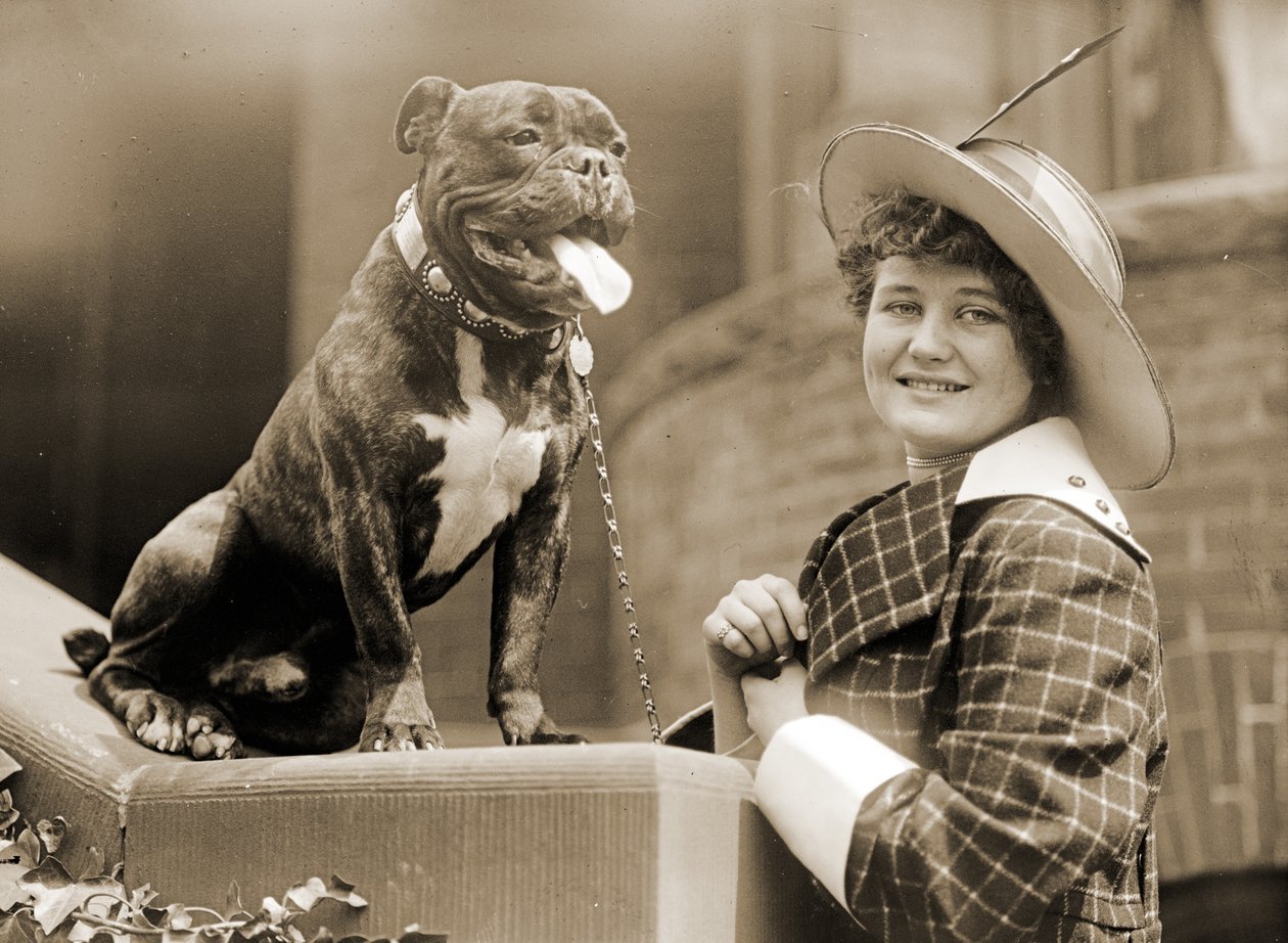 年轻的女孩和她的斗牛犬c.1915 作者 不明