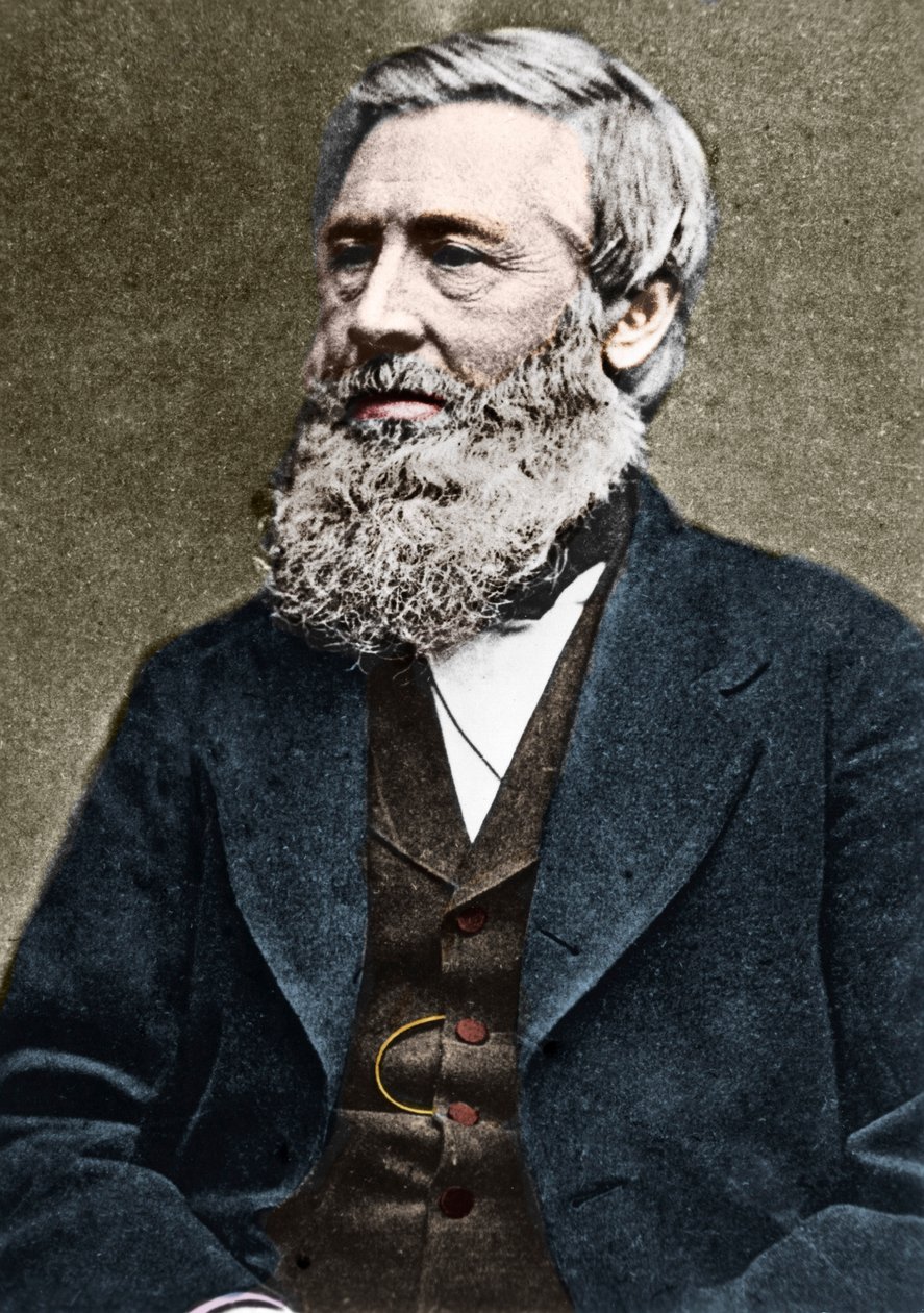 美国植物学家Asa Gray（1810-1888）的肖像。 c1884。 作者 美国摄影师
