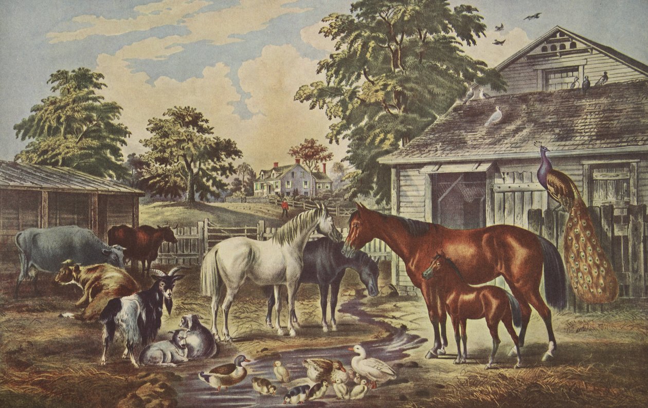 美国农场 - 早上，酒吧。 1857年，Currier＆Ives 作者 美国学校