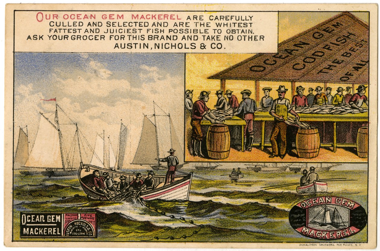 Austin，Nichols＆Co。Ocean Gem Mackerel，trade card recto。，（color litho [trade card]） 作者 美国学校